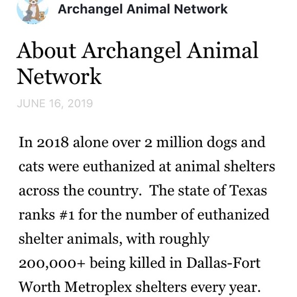 @princesspicks shop here & help save dogs lives - Picture 5 of 6